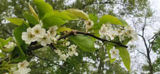 장재농원 최재석님의 자유주제 · 자유게시판 작성글 사진