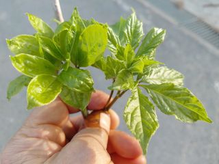 별빛농장지기님의 자유주제 · 자유게시판 작성글 사진