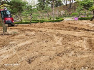 포도10314님의 자유주제 · 자유게시판 작성글 사진