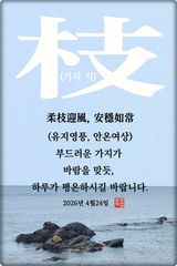 팜모닝 자유주제·자유게시판 게시글 이미지