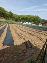 팜모닝 자유주제·자유게시판 게시글 이미지