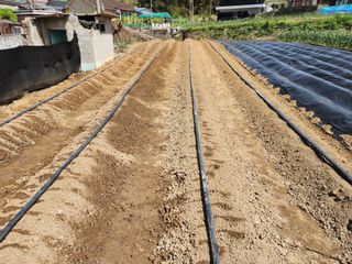 조정권님의 자유주제 · 자유게시판 작성글 사진