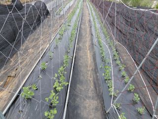 이박농장님의 자유주제 · 자유게시판 작성글 사진