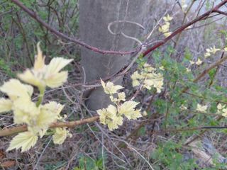 별빛농장지기님의 자유주제 · 자유게시판 작성글 사진