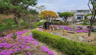 포도10314님의 자유주제 · 자유게시판 작성글 사진