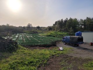 개인교수님의 자유주제 · 자유게시판 작성글 사진