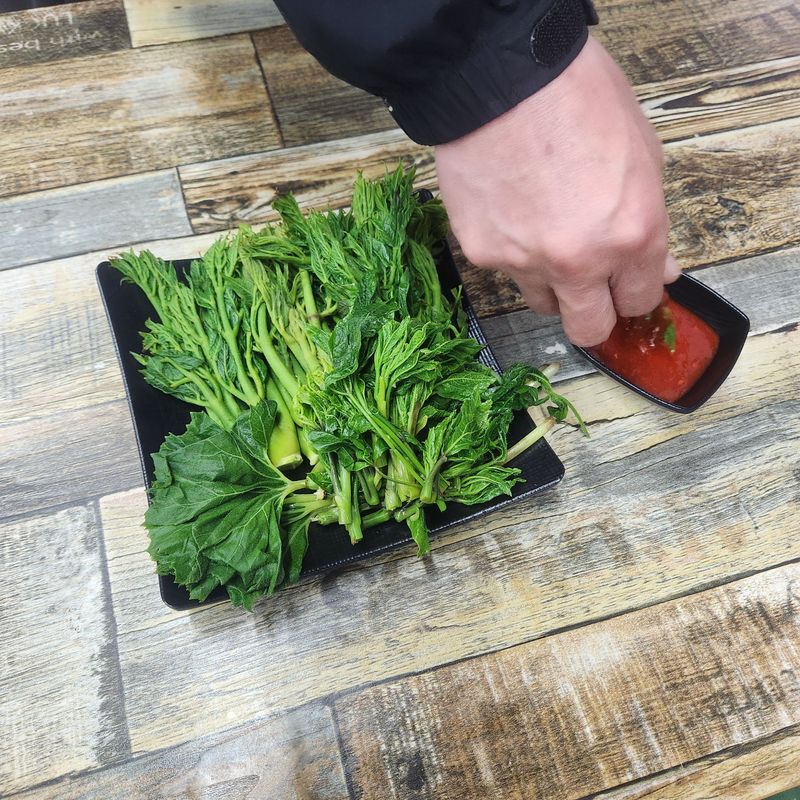 조한솔님의 장터 판매 상품 [무농약 오가피순 1kg] 첨부 사진