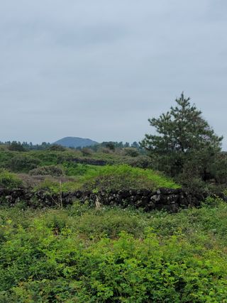 개인교수님의 자유주제 · 자유게시판 작성글 사진