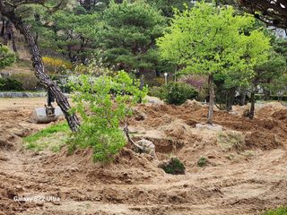 포도10314님의 자유주제 · 자유게시판 작성글 사진