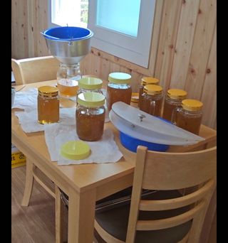 신지연님의 자유주제 · 자유게시판 작성글 사진