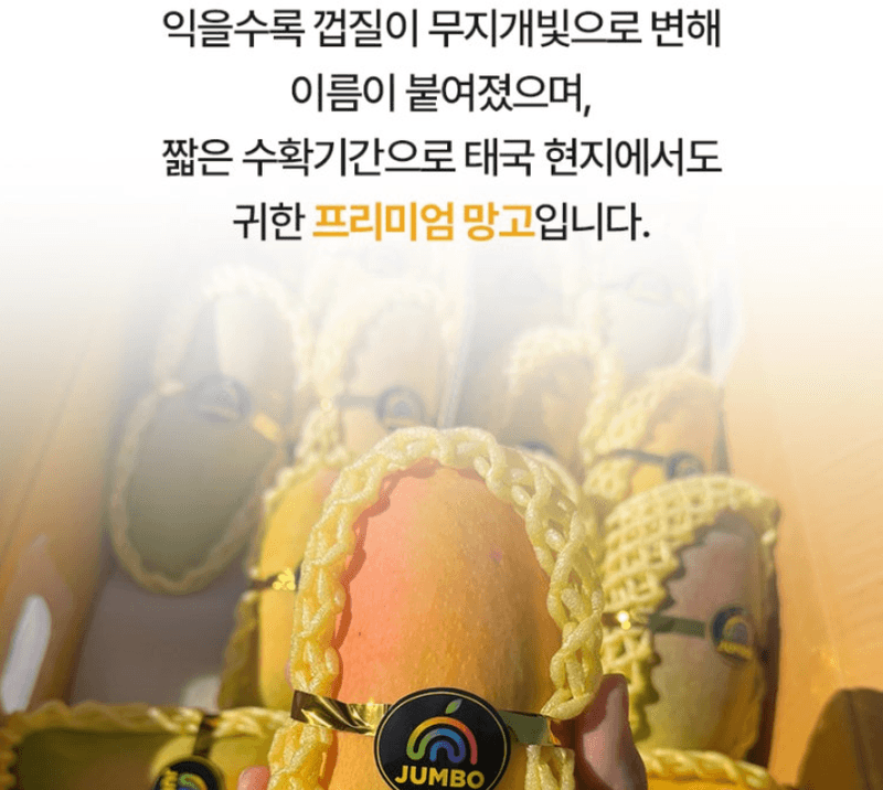 스피드번님의 장터 판매 상품 [무지개망고] 첨부 사진