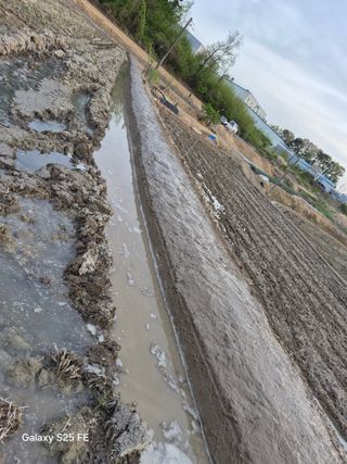 정금천님의 자유주제 · 자유게시판 작성글 사진