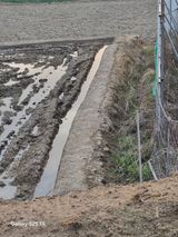 팜모닝 자유주제·자유게시판 게시글 이미지