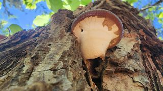 장영수님의 자유주제 · 자유게시판 작성글 사진