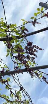 옥그린농장님의 자유주제·자유게시판 작성글 사진