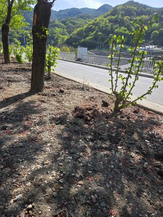 김용대님의 자유주제 · 자유게시판 작성글 사진