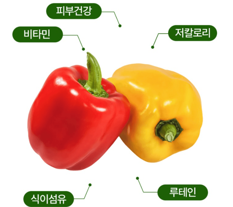 스피드번님의 장터 판매 상품 [파프리카 ] 첨부 사진