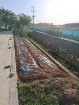 아산님의 자유주제·자유게시판 작성글 사진