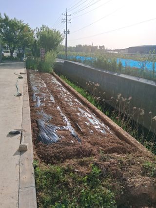 아산님의 자유주제 · 자유게시판 작성글 사진