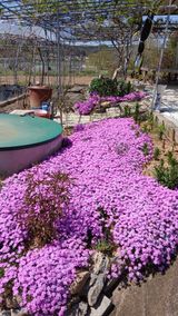 팜모닝 자유주제·자유게시판 게시글 이미지