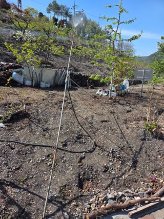 김용대님의 자유주제 · 자유게시판 작성글 사진