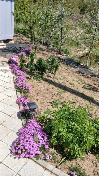 초보텃밭님의 자유주제 · 자유게시판 작성글 사진