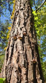 장영수님의 자유주제·자유게시판 작성글 사진