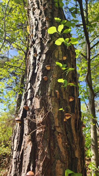 장영수님의 자유주제 · 자유게시판 작성글 사진