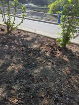 팜모닝 자유주제·자유게시판 게시글 이미지