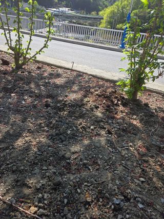 김용대님의 자유주제 · 자유게시판 작성글 사진