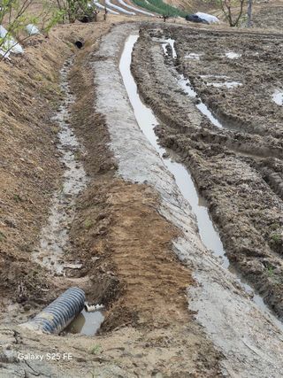 정금천님의 자유주제 · 자유게시판 작성글 사진