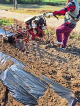 팜모닝 자유주제·자유게시판 게시글 이미지