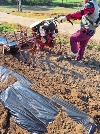 김영진(전남영광)님의 자유주제 · 자유게시판 작성글 사진