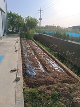 팜모닝 자유주제·자유게시판 게시글 이미지