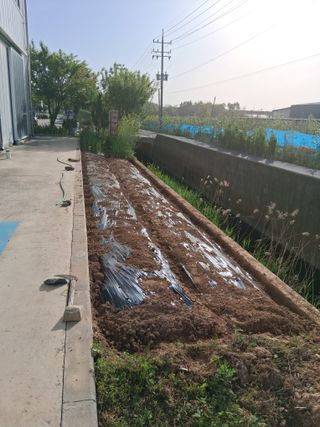 아산님의 자유주제·자유게시판 작성글 사진