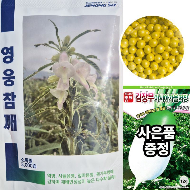 장터 상품 [영웅참깨 코팅씨앗 3000립 + 사은품 김장무 씨앗 증정] 썸네일