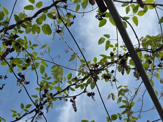 옥그린농장님의 자유주제 · 자유게시판 작성글 사진