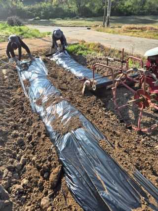 김영진(전남영광)님의 자유주제 · 자유게시판 작성글 사진