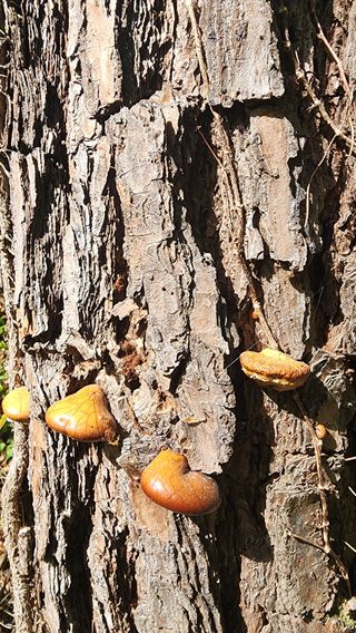 장영수님의 자유주제 · 자유게시판 작성글 사진