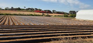 김순님의 자유주제 · 자유게시판 작성글 사진