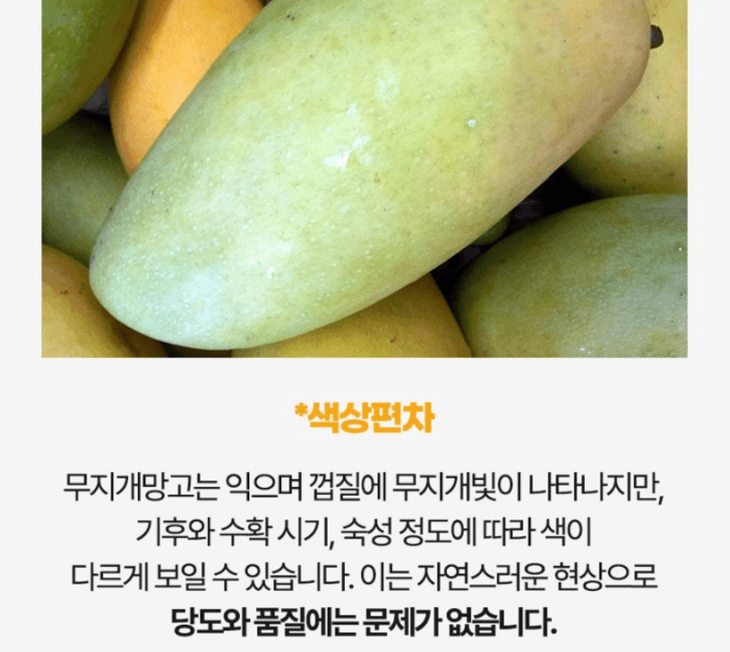 스피드번님의 장터 판매 상품 [무지개망고] 첨부 사진