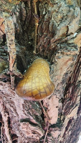 장영수님의 자유주제 · 자유게시판 작성글 사진