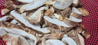 약초꾼님의 자유주제 · 자유게시판 작성글 사진