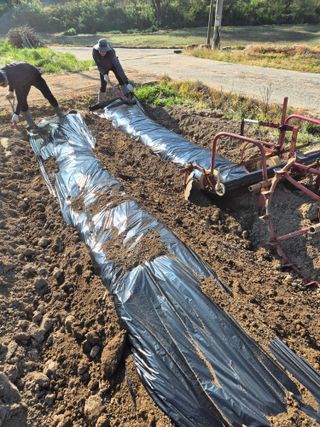 김영진(전남영광)님의 자유주제 · 자유게시판 작성글 사진