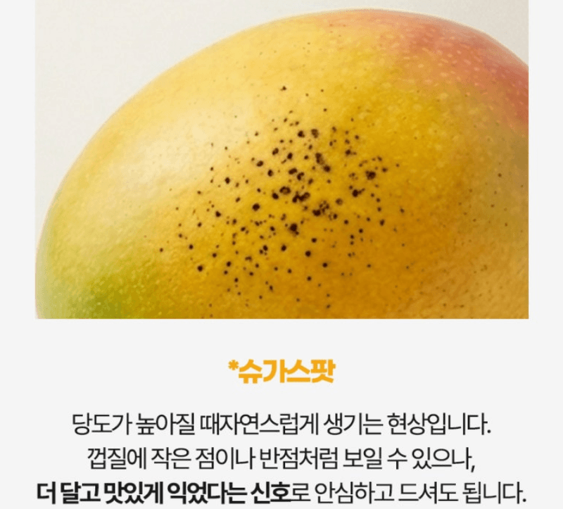 스피드번님의 장터 판매 상품 [무지개망고] 첨부 사진