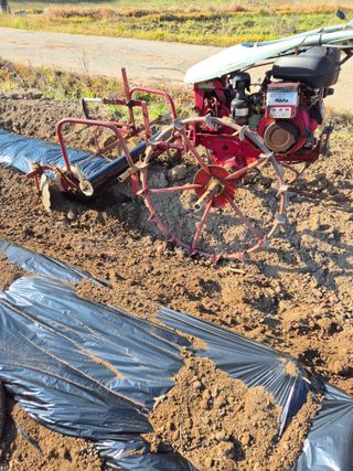 김영진(전남영광)님의 자유주제 · 자유게시판 작성글 사진