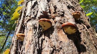 장영수님의 자유주제 · 자유게시판 작성글 사진