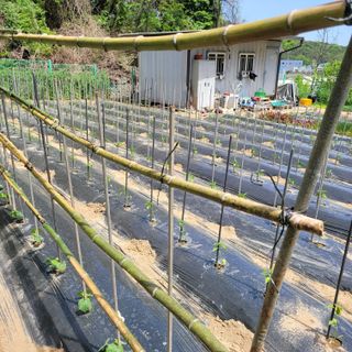 이창화님의 자유주제 · 자유게시판 작성글 사진