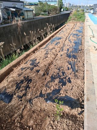 아산님의 자유주제 · 자유게시판 작성글 사진