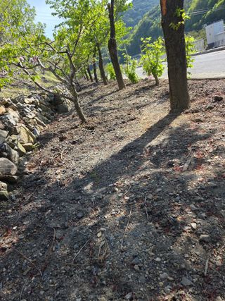 김용대님의 자유주제 · 자유게시판 작성글 사진